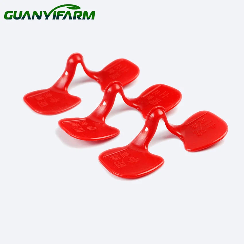 detail of chicken plastic eye glasses