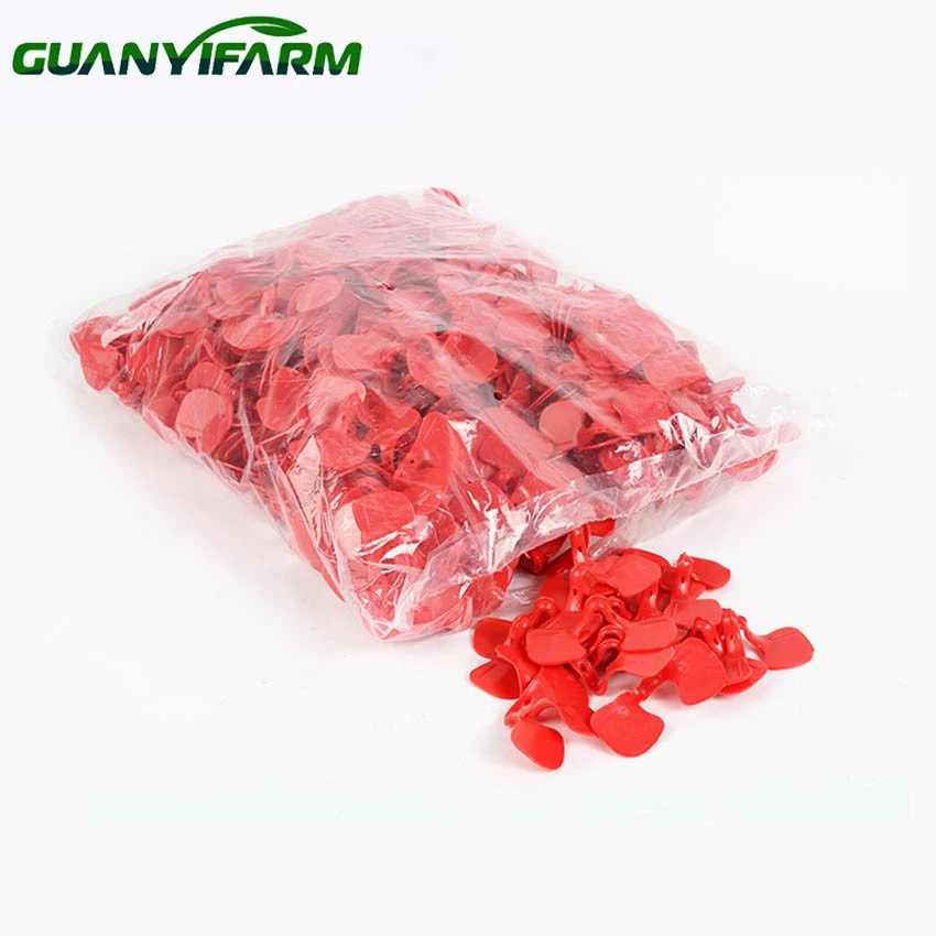 detail of chicken plastic eye glasses 01