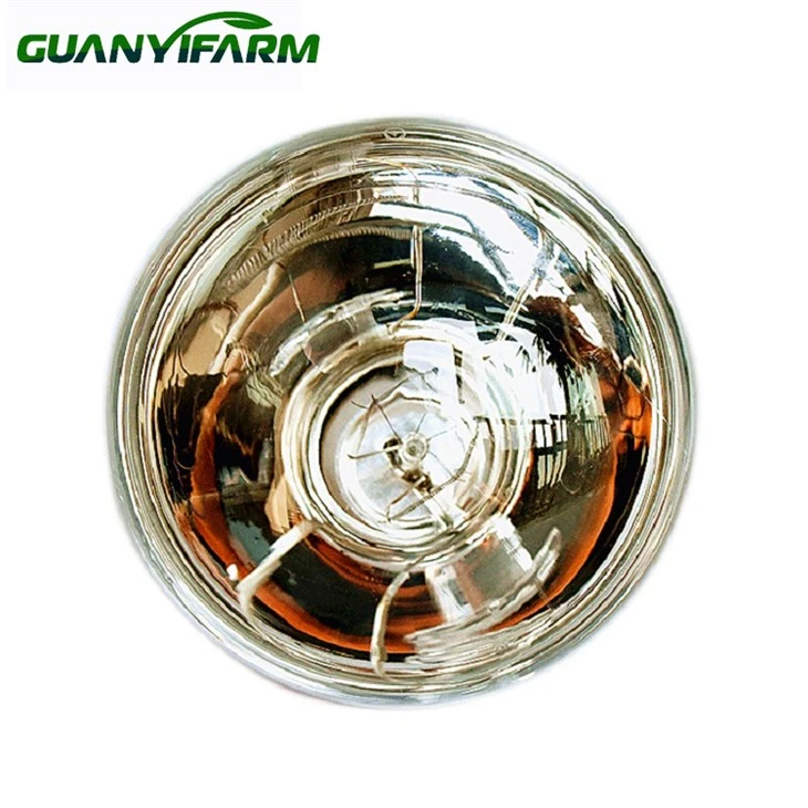 250w Infrared Lamp