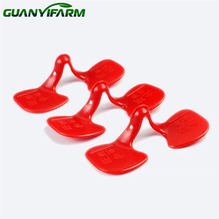 Chicken Plastic Eye Glasses