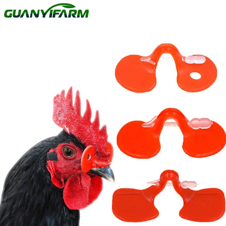 Chicken Plastic Eye Glasses