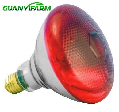Heat Lamp For Animals