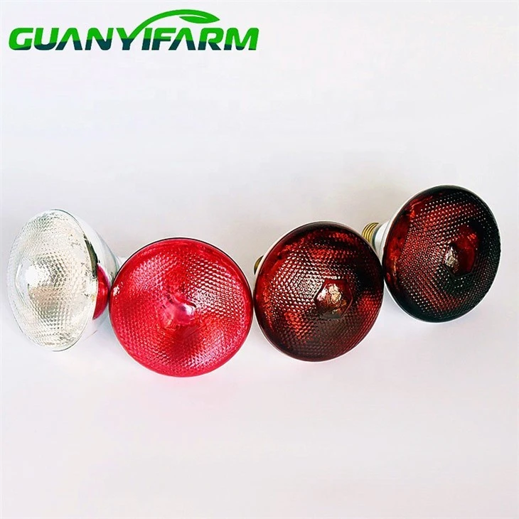 Infrared Heating Lamp For Chick Farm