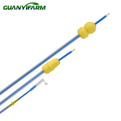 AI Vas Deferens Insemination For Pig Farm
