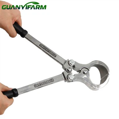 Cow Castration Tools