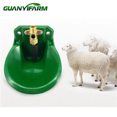 Drinking Bowl For Sheep