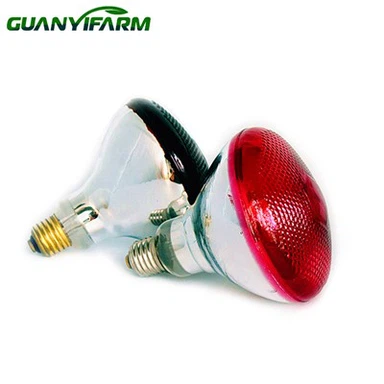 Infrared Brooder Bulb