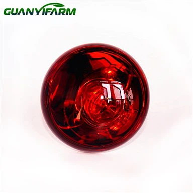 Infrared Bulb For Chicks