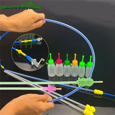 Intracervical Insemination For Sow