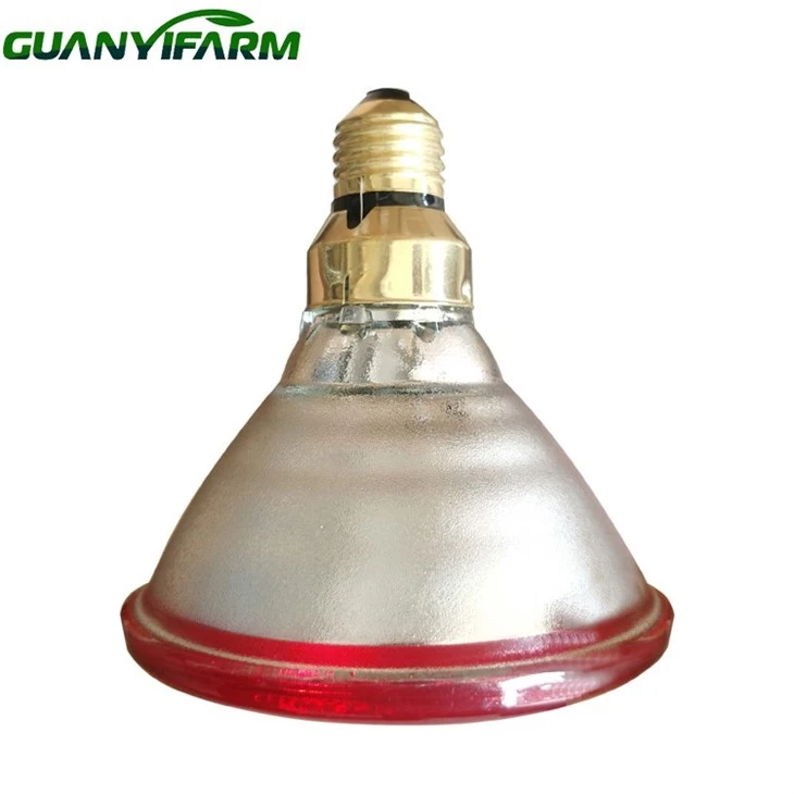 Ir Heat Bulb