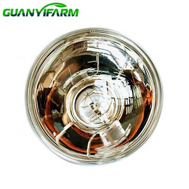 250 Watt Infrared 1 Bulb Ceiling Heater