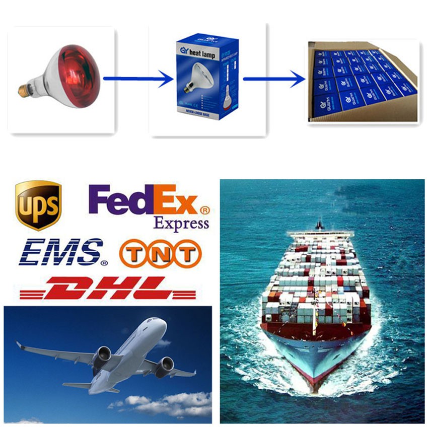 Packaging and Delivery of infrared bulb 150w Packaging and Delivery of infrared bulb 150w