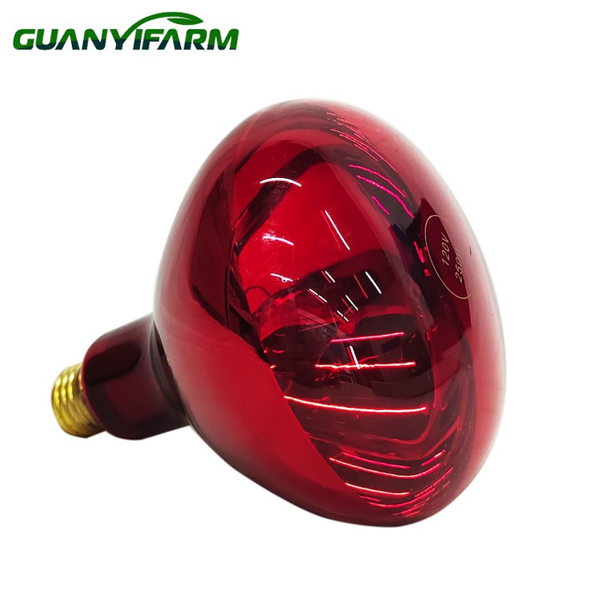 details of 150 watt infrared heat bulb details of 150 watt infrared heat bulb