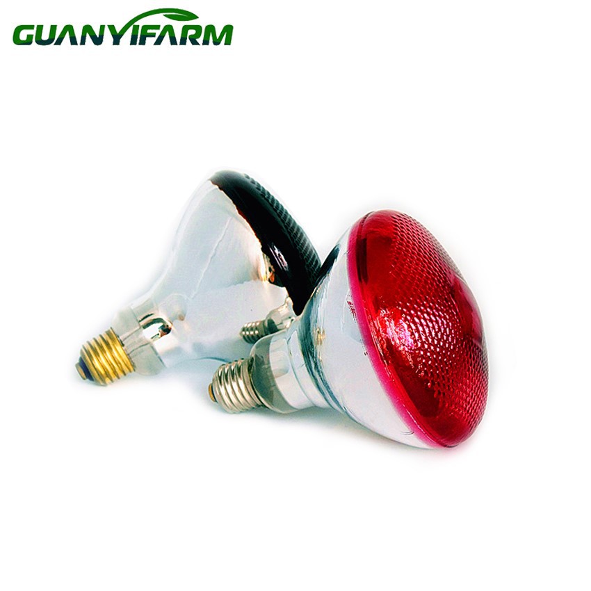 detail of 250w red heat lamp detail of 250w red heat lamp