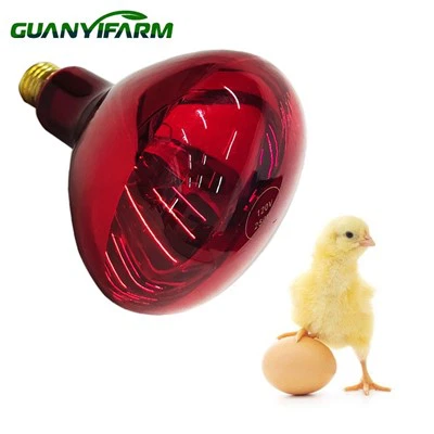 Brooder Bulb For Chicks