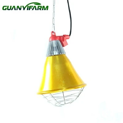 Brooder Lamp