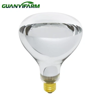 Food Warmer Bulbs