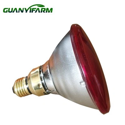 Hard Glass Par38 Red Lamps