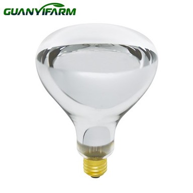Infrared Bulb 150w