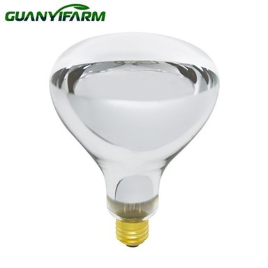Infrared R40 Bulb