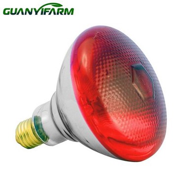 Infrared Red Light Lamp