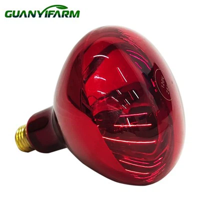 Lamp For Heat Bulb