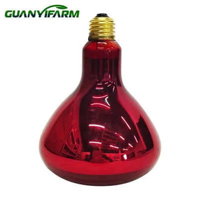 R125 Heat Lamp For Chicks