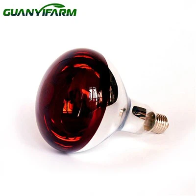 R125 Ir Lamp Bulb
