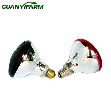Red Infrared Bulb