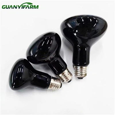 Reptile Night Heat Lamp