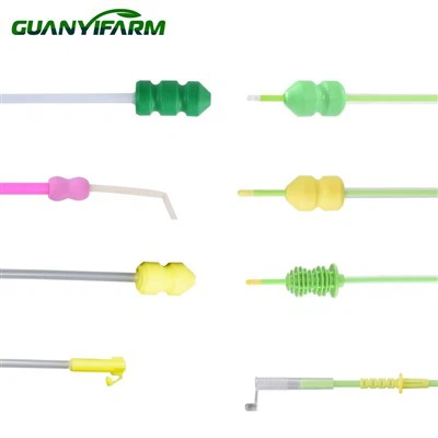 Veterinary Vas Deferens